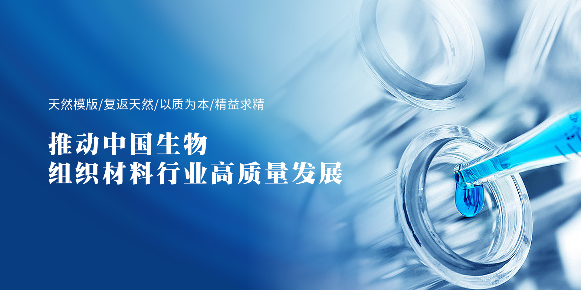 通栏图片